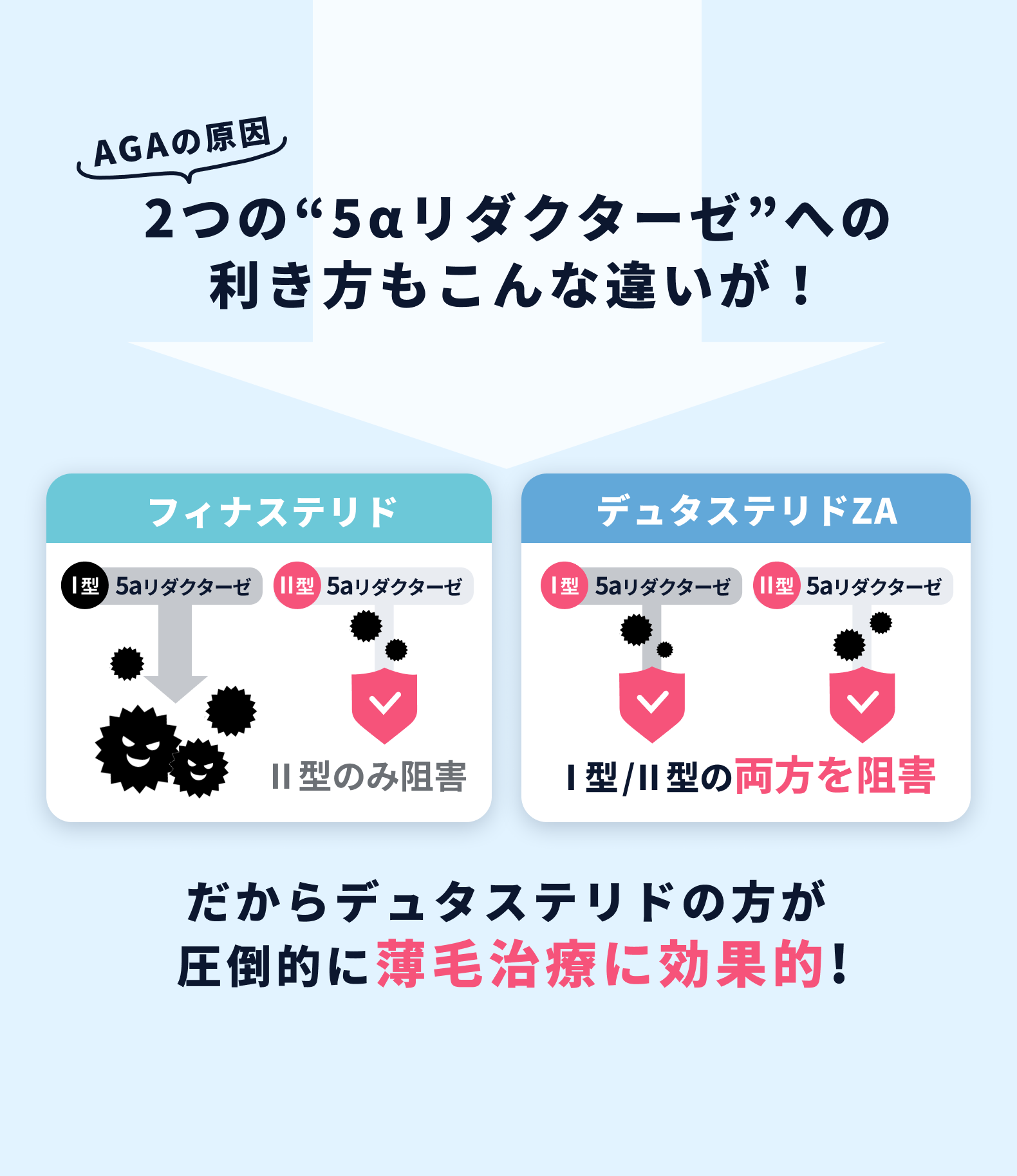 ＡＧＡの原因、2つの5αリダクターゼへの効き方はこんなにも違う！