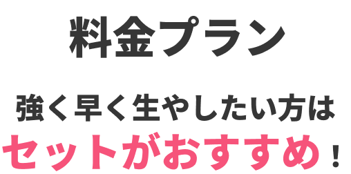 料金プラン