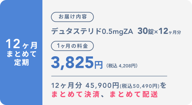 12ヶ月まとめて定期