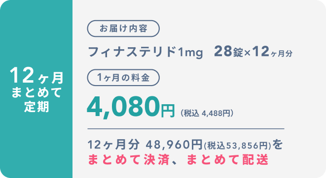 12ヶ月まとめて定期